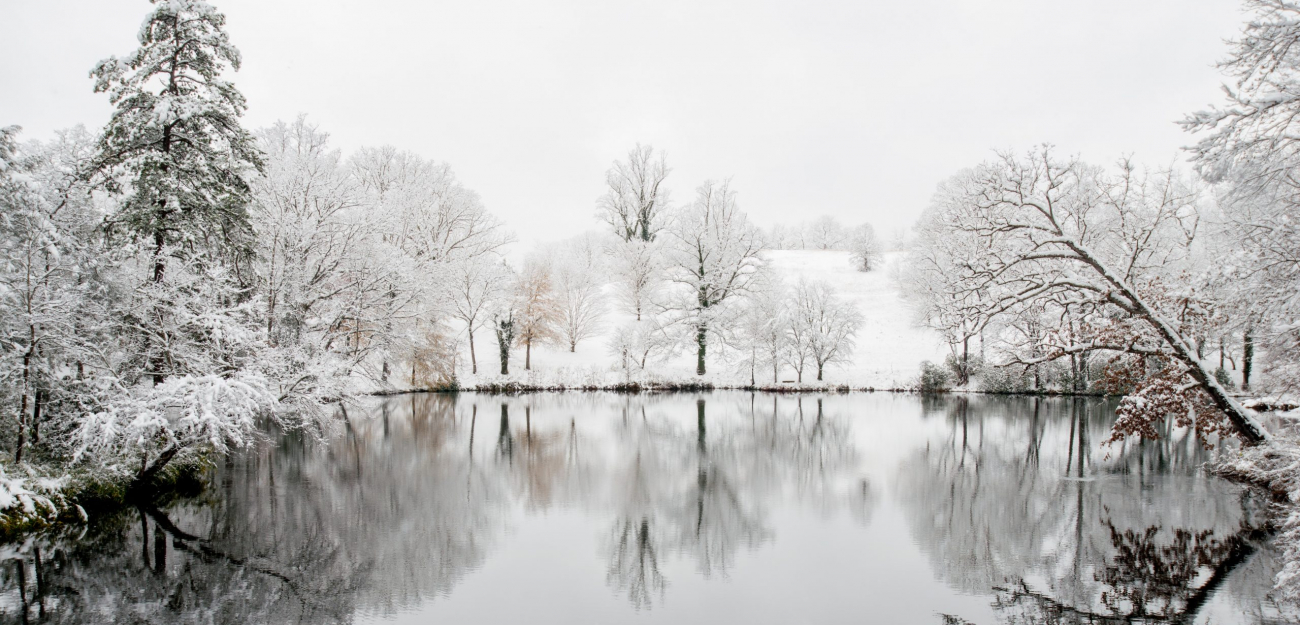 Vinterlandskap med snötäckta träd vid en sjö.